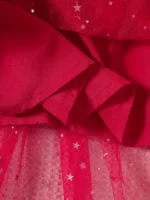 Long Sleeve Velvet Mesh Dress