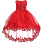 Baby Girls Lace Ball Gown Dress