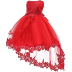 Baby Girls Lace Ball Gown Dress