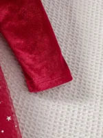 Long Sleeve Velvet Mesh Dress