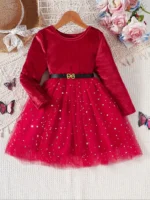 Long Sleeve Velvet Mesh Dress